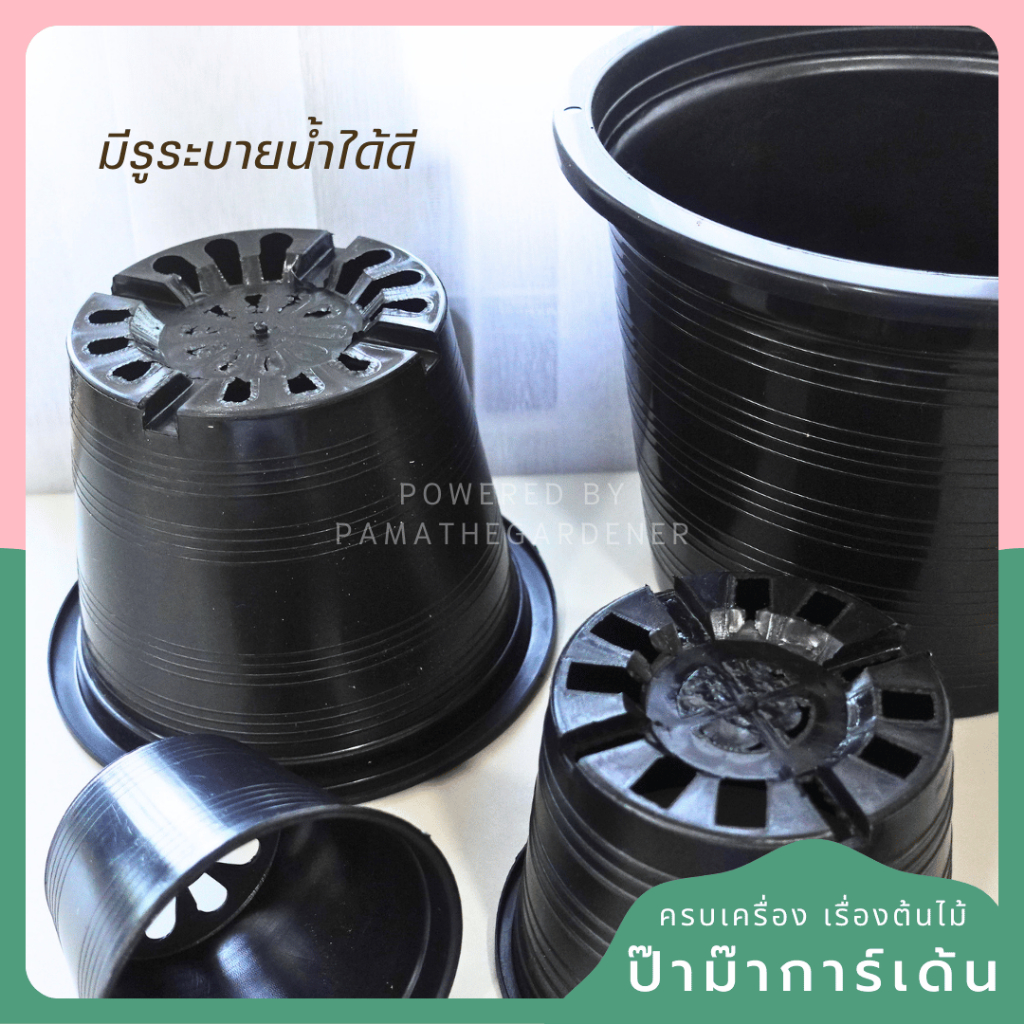 มุมมอง 2