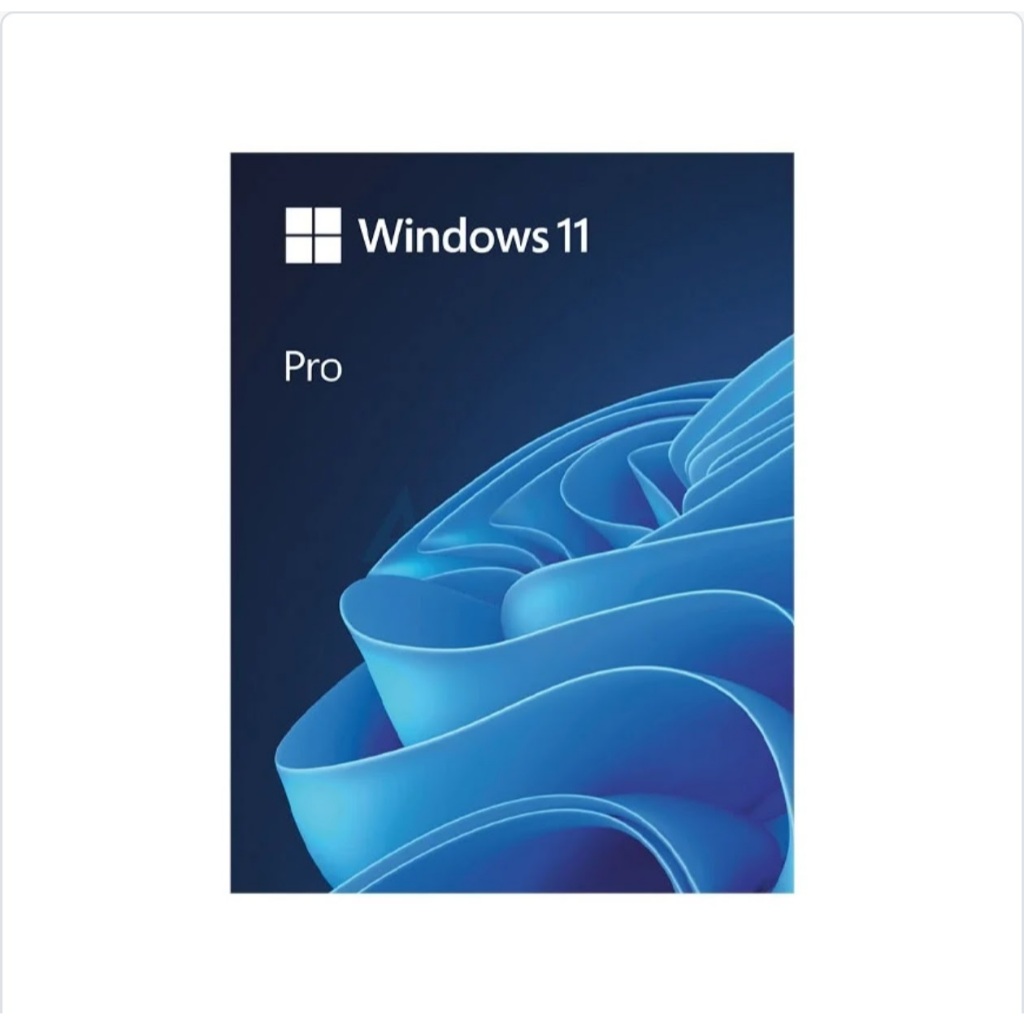 Windows 11 Pro 64 Bit FPP HAV-00163