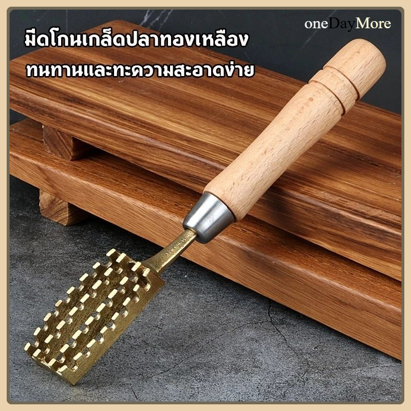 [หุ้นท้องถิ่น] ที่ขอดเกล็ดปลา ที่ขูดเกล็ดปลา ที่ขอดเกล็ดเกล็ดปลา ทองเหลือง สำหรับขจัด เกล็ดปลา นำเข้าจาก ญี่ปุ่น
