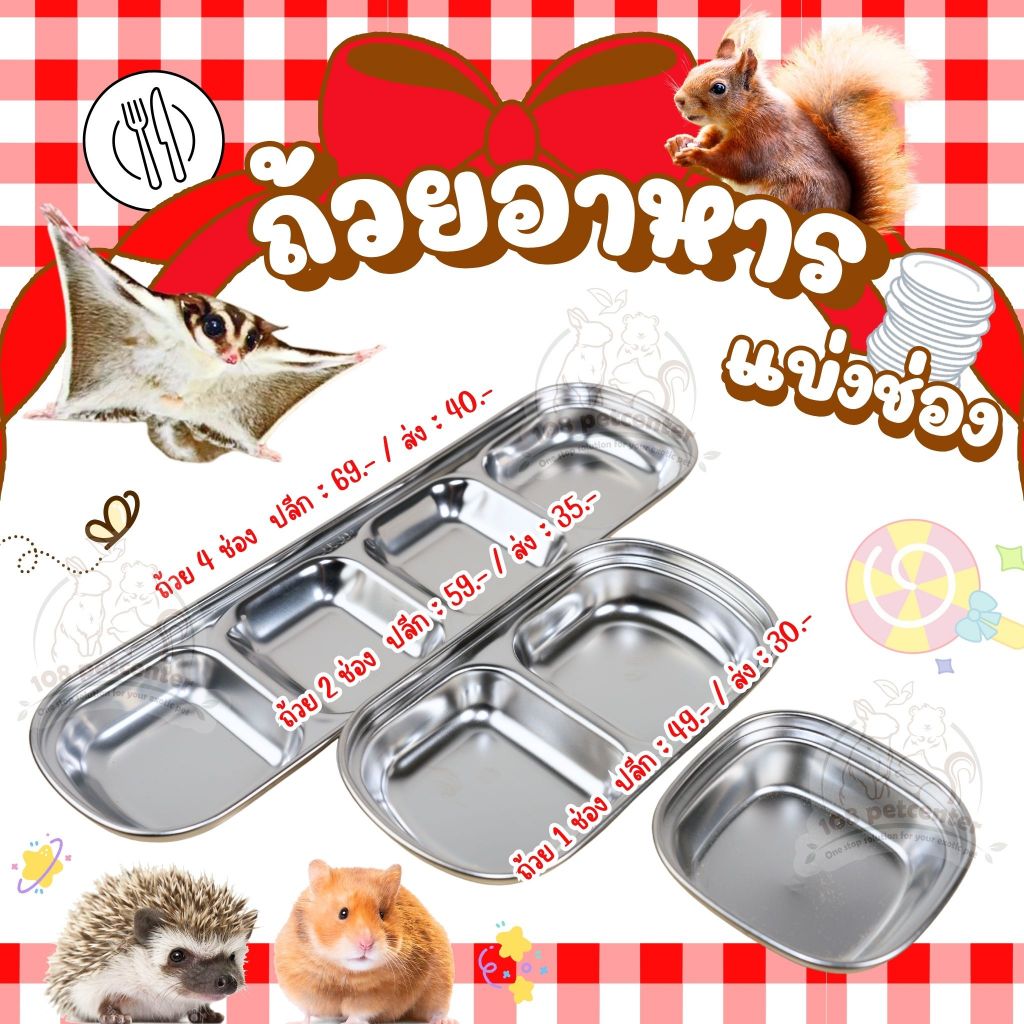 ถ้วยอาหารแบ่งช่อง สำหรับชูก้าร์ไกรเดอร์ กระรอก เม่นแคระ หนูแฮมสเตอร์ ถ้วยอาหารสัตว์