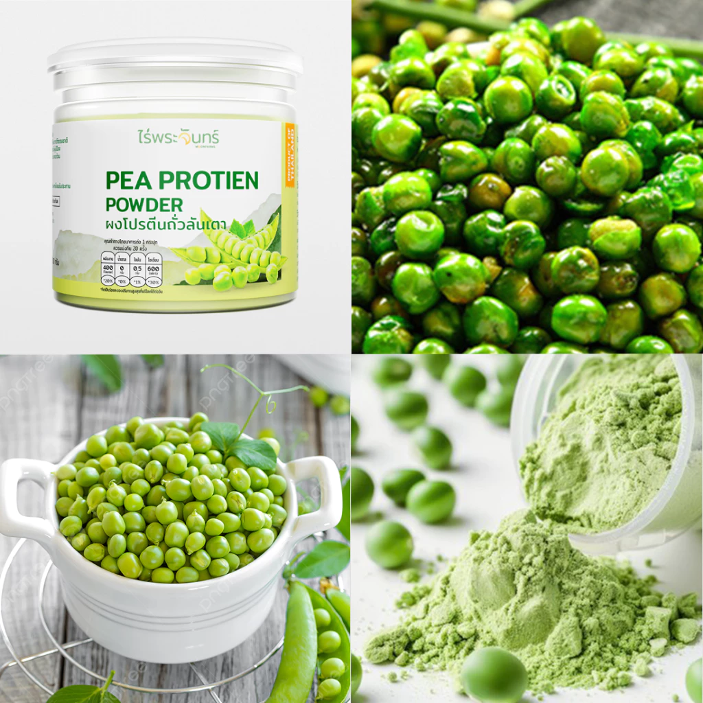 ไร่พระจันทร์ ผงโปรตีนจากถั่วลันเตา Pea Protein Powder thumbnail 8