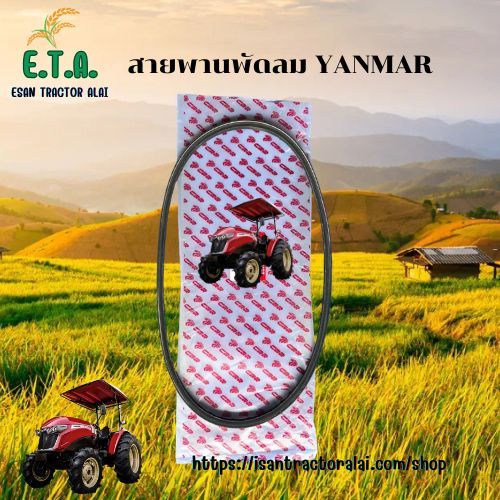 สายพานพัดลม ยันมาร์ EF312T/EF352T/EF393/EF453T/EF494T/EF514T/EF725T/YM351-YM357 YANMAR  รถไถยันมาร์ 