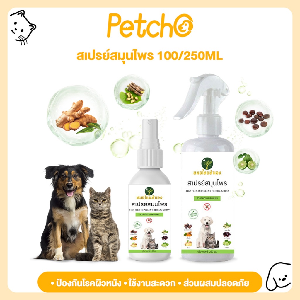 Petcho (หมอไทยทำเอง) สเปรย์สมุนไพร จัดการเห็บหมัด Ticks Fleas ขี้เรื้อนสุนัข แมว เชื้อรา ขนร่วง คันเกา ยีสต์