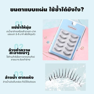 LASHSABAI ซีรีส์เกิร์ลกรุ๊ปเกาหลี ขนตาก้านแข็ง 5 คู่ ช่วยสร้างร่องตา สไตล์เกาหลีแท้ ธรรมชาติ กันน้ำ ใส่สบาย S101-109