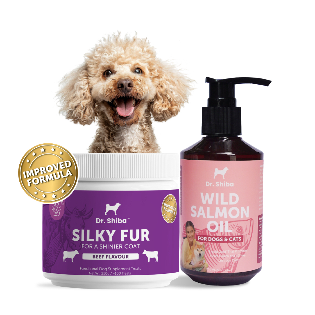 *พัฒนาสูตรใหม่* สูตรแพ็คคู่ Dr. Shiba Silky Fur รสเป็ด/เนื้อ/แซลมอน 250 กรัม และ Salmon Oil 200 กรัม