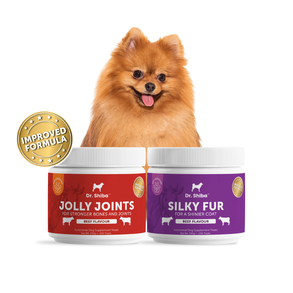 *พัฒนาสูตรใหม่* แพ็คสุดคุ้ม 2 สูตร Dr. Shiba Jolly Joints (กระดูก) และ Dr. Shiba Silky Fur (เส้นขน) เลือกรสชาติได้