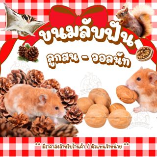ขนมหนูแฮมสเตอร์ ชูก้าร์ไกรเดอร์ กระรอก ขนมลับฟันลูกสน วอลนัท…