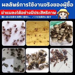 ยาฆ่าเห็บหมัด กำจัดเห็บและหมัด 500มล สเปรย์กำจัดเห็บ กำจัดเหาไรเห็บ หมัด สเปรย์กำจัดเห็บหมัด ส่วนผสมจากพืชขวด