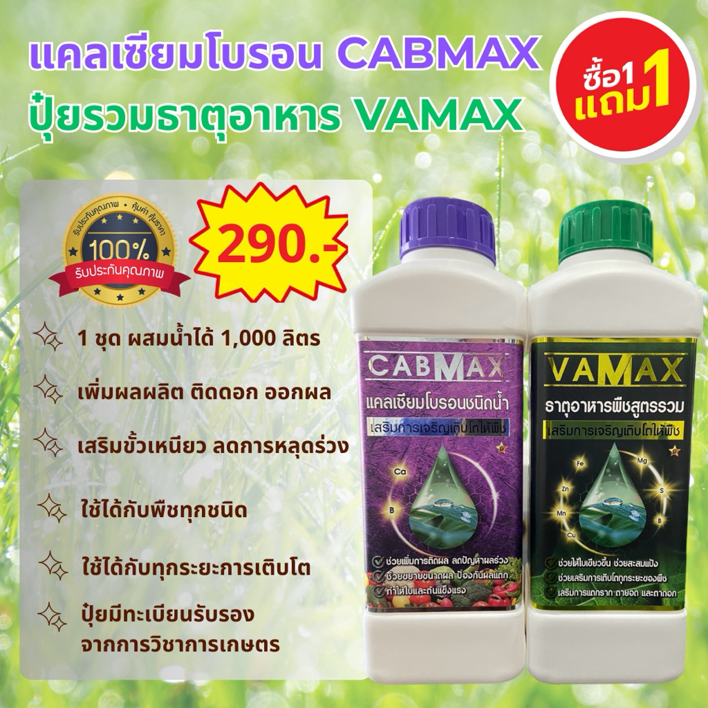 [ชุด 1แถม1] CABMAX+VAMAX แคลเซียมโบรอนเข้มข้ม แถม ปุ๋ยธาตุรวม (C1+V1)