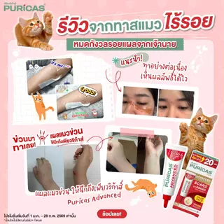 Puricas Plus Advanced Dragon's Blood C&E Scar Gel 20กรัม เจลดูแลรอยแผลกาย สูตรเข้มข้น วิตามิน C&E (ขนาดคุ้มค่า)