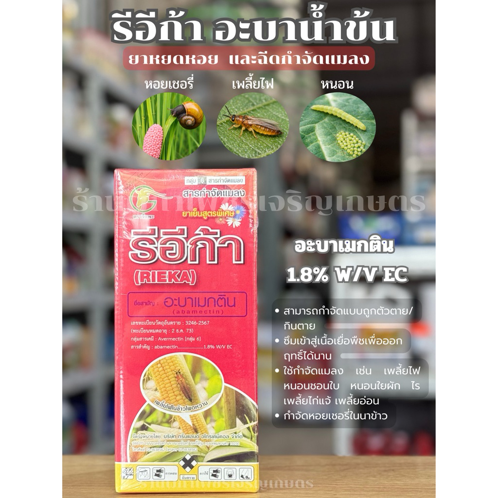 รีอีก้า น้ำข้น (1 ลิตร) อะบาเมกติน น้ำข้น สูตรร้อน ใช้กำจัดหยดหอยเชอรี่ เบื่อปู มด ศัตรูพืชทำลายนาข้าว