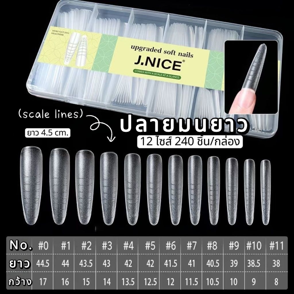 [จัดส่งทันที]   Scale line ♡ PVC เวียดนาม มีเส้นไกด์ ทรง พส.จีน ตะไบตามได้ทรงสวยเป๊ะ