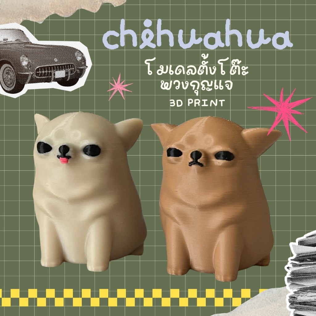 CHIHUAHUAS ชิวาว่า aka หมาจั๊ดจ์ หมาไม่รับเรื่อง