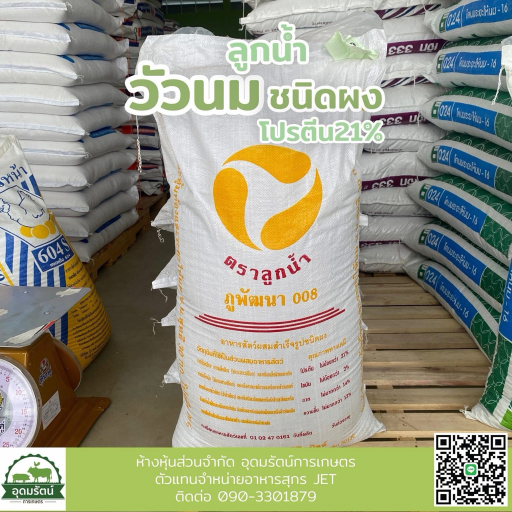 008 อาหารวัวลูกน้ำชนิดผง โปรตีน 21%
