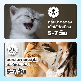 Winky Wink x Petcho น้ำยาบ้วนปากสุนัขและแมว Probiotic ระงับกลิ่นปาก ขจัดแบคทีเรีย คราบพลัค ยับยั้งหินปูน
