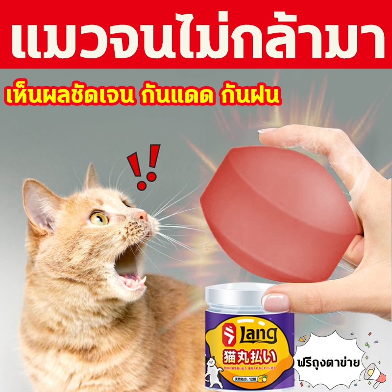 🐱วางไว้แมวหายไป🐱ไล่แมว ก้อนไล่แมว ก้อนวางไล่แมว เครื่องไล่แมว 12ชิ้น ใช้ง่ายแค่วาง สารสกัดธรรมชาติ เห็นผลชัดเจน