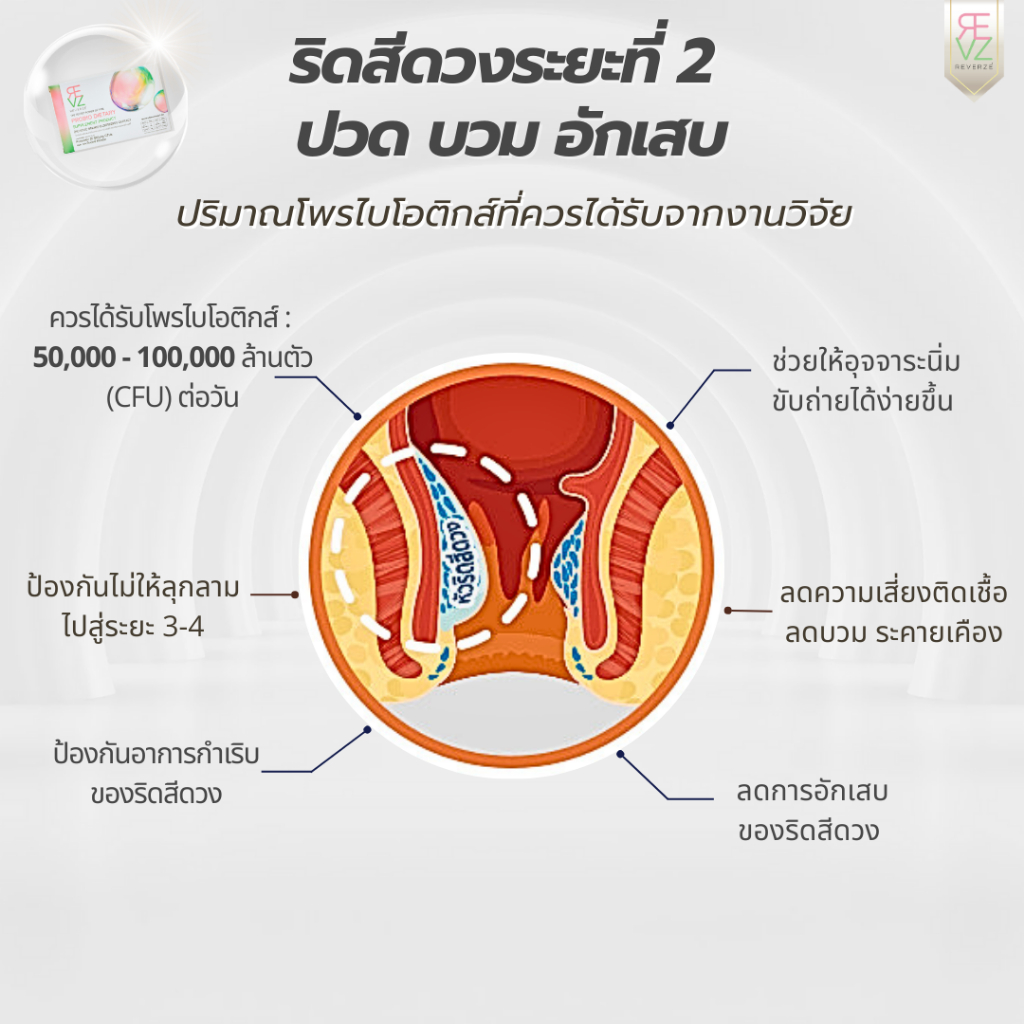 รีเวอร์เซ่ By รีเวร่า โพรไบโอติก พลัส เอลเดอร์เบอร์รี่ ผลิตและคิดสูตรโดยแพทย์นักวิจัยเยอรมนี  2กล่อง - รูปที่ 5