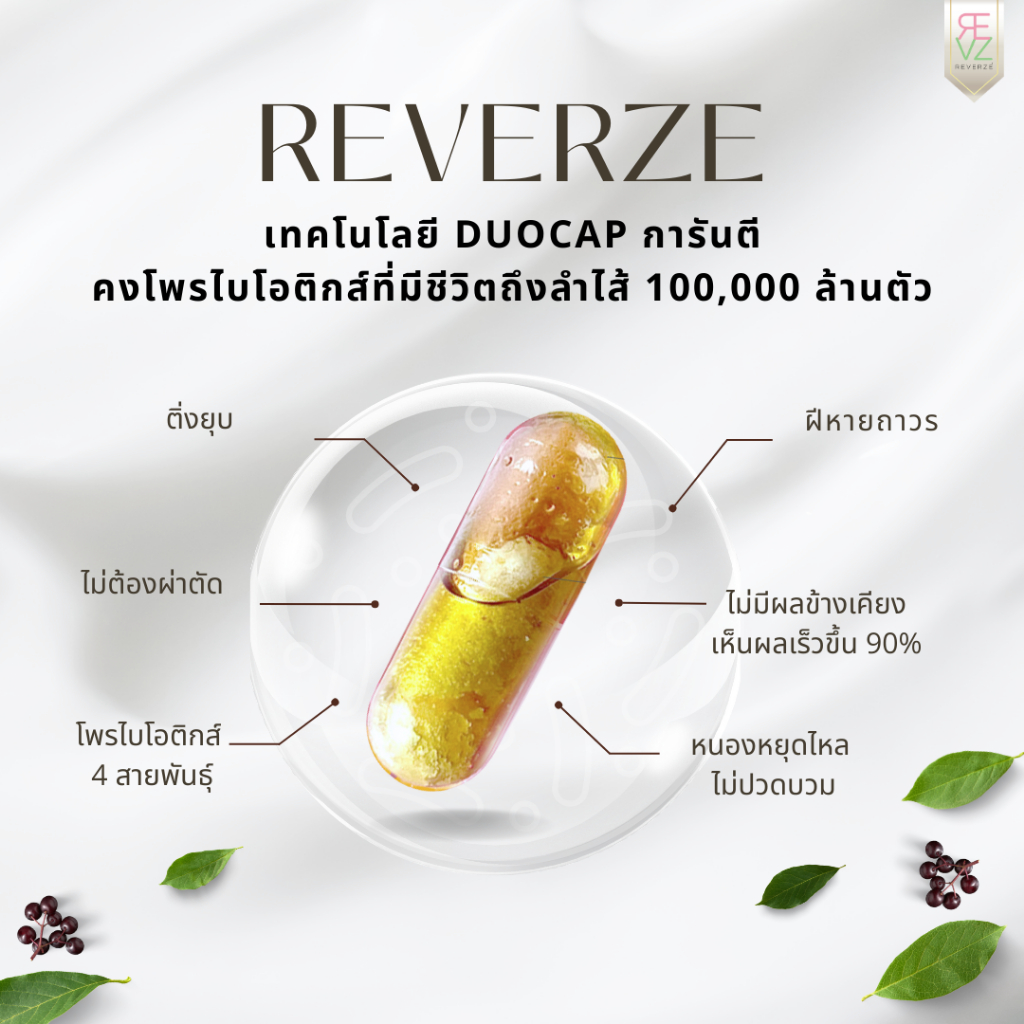 รีเวอร์เซ่ By รีเวร่าโพรไบโอติก พลัส เอลเดอร์เบอร์รี่ ผลิตและคิดสูตรโดยแพทย์นักวิจัยเยอรมนี 10กล่อง - รูปที่ 5
