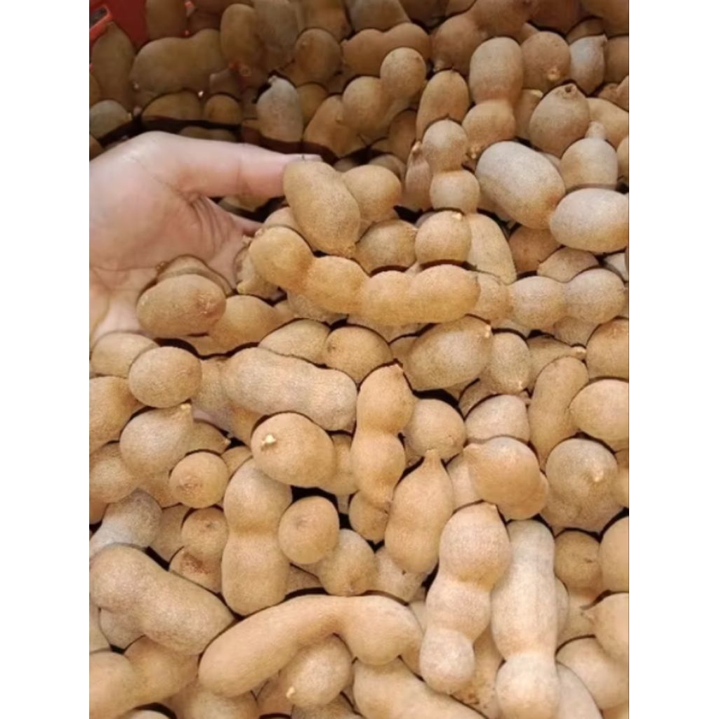 รูปภาพ 4