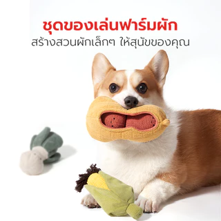 Petstar ของเล่นสุนัข มีเสียง ของเล่นสัตว์เลี้ยง 3 ชิ้น Dog vegetable toy set วัสดุนุ่มปลอดภัย คุณภาพดี ทนทาน