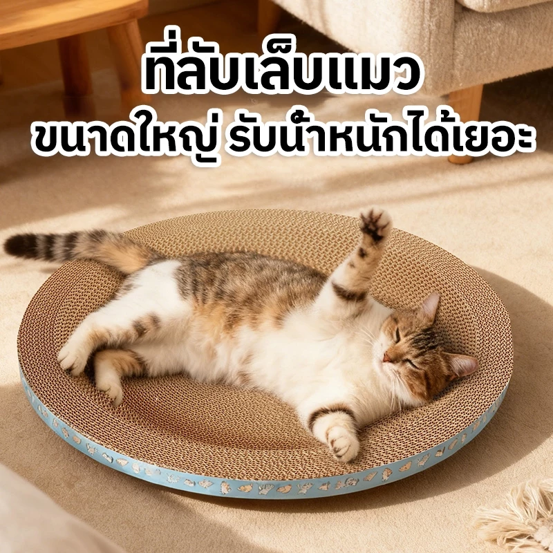 ที่ลับเล็บแมวและที่นอนแมว 2in1 thumbnail 10