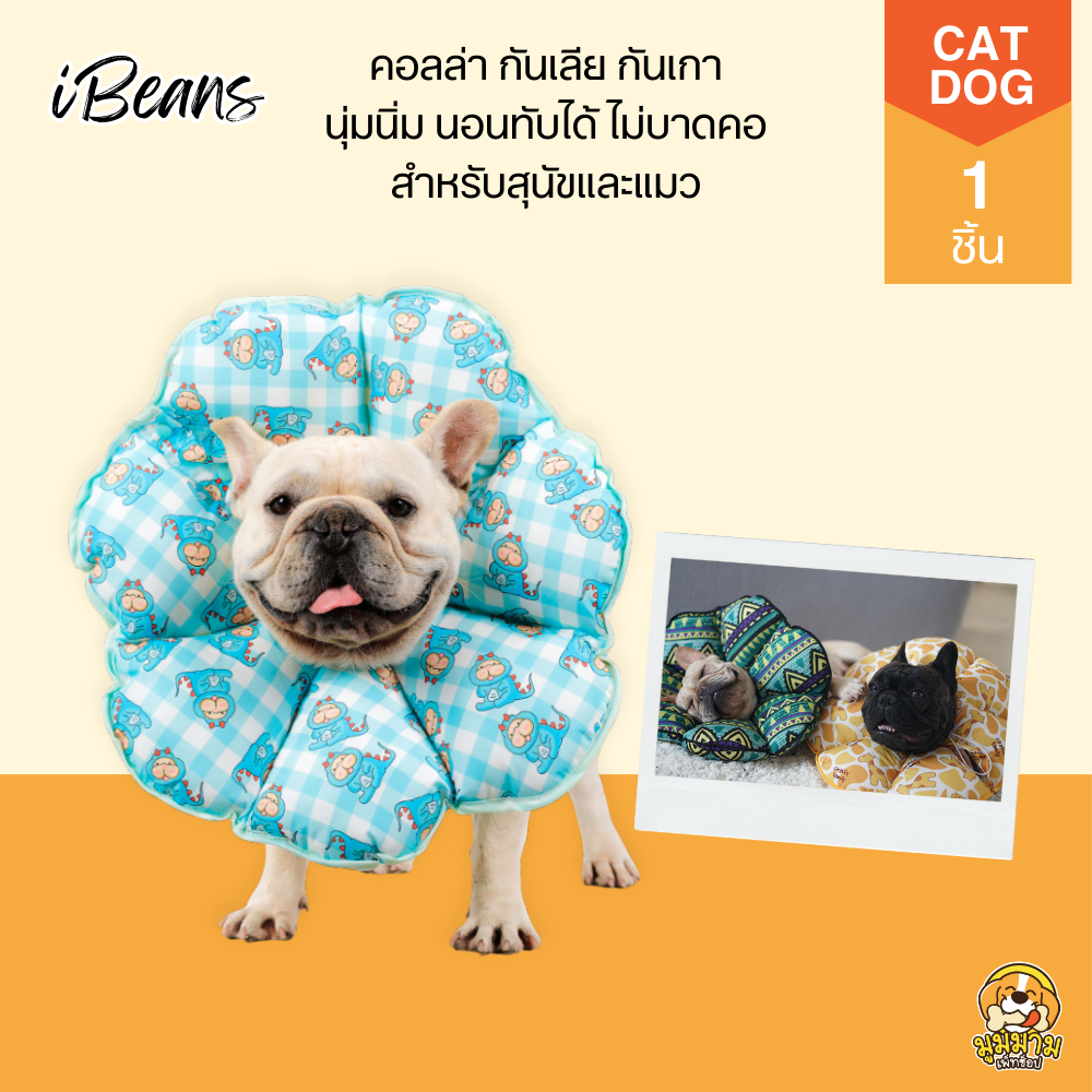 iBeans ของแท้! คอลล่าสุนัข คอลล่าสุนัขไซส์ใหญ่ คอลล่าหมาไซส์ใหญ่ เนื้อผ้ากันน้ำ เบาสบาย ไม่บาดคอ