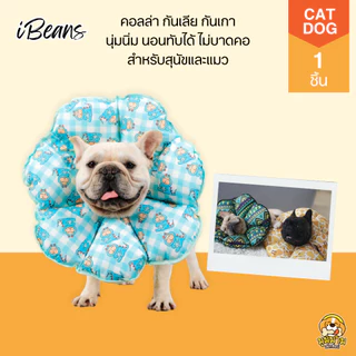 iBeans ของแท้! คอลล่าสุนัข คอลล่าสุนัขไซส์ใหญ่ คอลล่าหมาไซส์ใหญ่ เนื้อผ้ากันน้ำ เบาสบาย ไม่บาดคอ