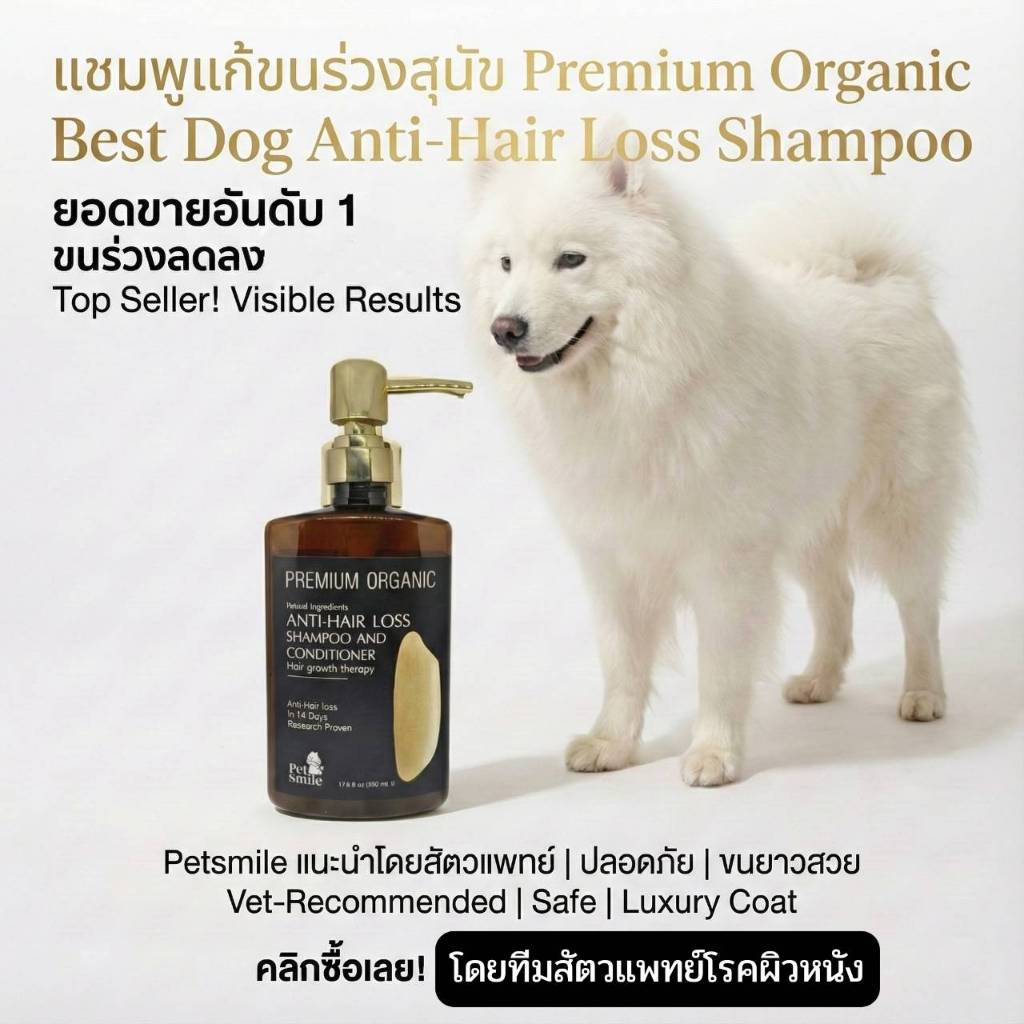 (เห็นผลเร็วใช้ดีมาก) แชมพูสุนัขขนร่วงออแกนิค PETSMILEแชมพูสุนัขพรีเมี่ยมหอมๆป้องกันเชื้อรายีสต์ผลิตโดยทีมสัตวแพทย์500ml