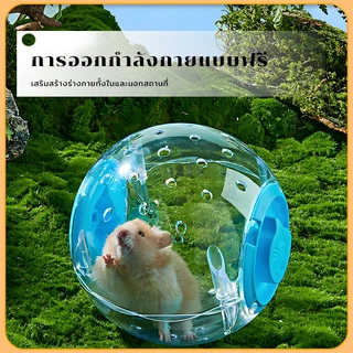 ลูกบอลวิ่งหนูแฮมเตอร์ ของเล่นแฮมสเตอร์ไม่ติดเท้าหนูแฮมสเตอร์เล่นของเล่นต่อต้านอาการซึมเศร้า