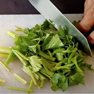 เมล็ดพันธุ์ คื่นฉ่ายจีน หนานหลิง Nan Ling Chinese Celery Seed 2000 เมล็ด คุณภาพดี ของแท้ 100%