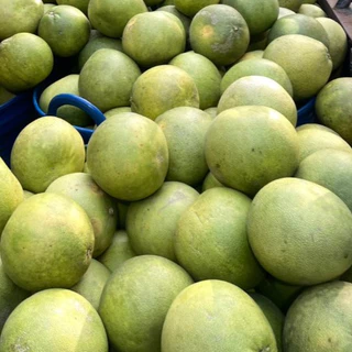 [พร้อมส่ง SETรสจัดจุใจ] ส้มโอ ผิวไม่สวย ขรุขระ ขาวใหญ่ ขาวน้ำผึ้ง ทองดี รสเข้ม รับประกันเนื้อ 7-9/ลูก ขีด