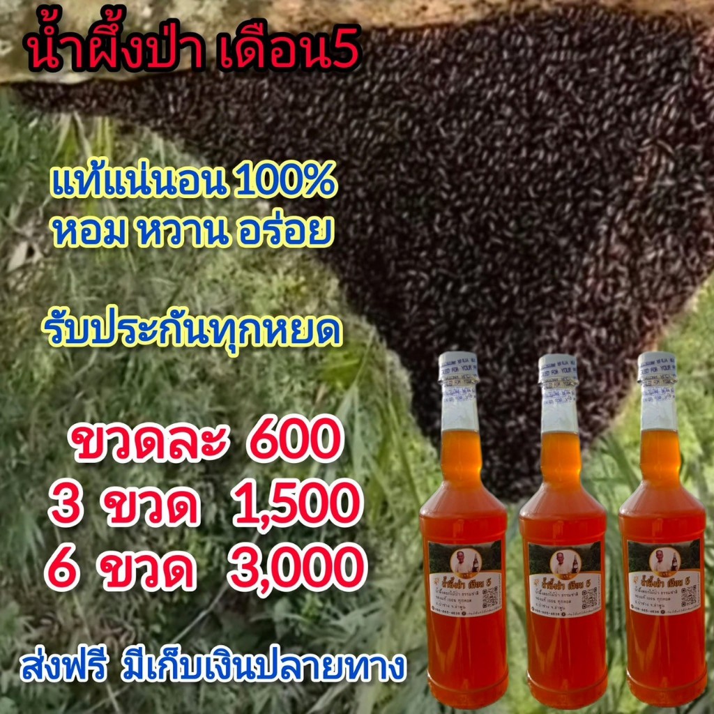 น้ำผึ้งหลวงป่า เจริญ น้ำผึ้งแท้ น้ำผึ้งป่า บริสุทธิ์แท้ทุกหยดจากรวง รับประกันคุณภาพ