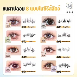 ขนตาปลอมกาวในตัว ติดง่าย ไม่ใช้กาว ใช้ซ้ำได้ เรียงเส้นสวย เป็นธรรมชาติ มีให้เลือกถึง 8 ทรง ขนาด 9 - 13 มม