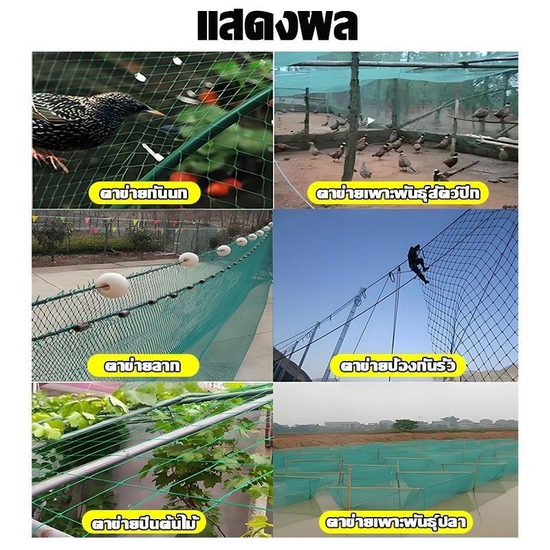 ใช้ได้ 10 ปี ตาข่ายกันนก 2*100ม อวนล้อมไก่ แน่น ทนต่อแรงดึง ทนแดด หนาขึ้น ตาข่ายล้อมไก่ ตาข่ายกันนก อวนเขียว - รูปที่ 7