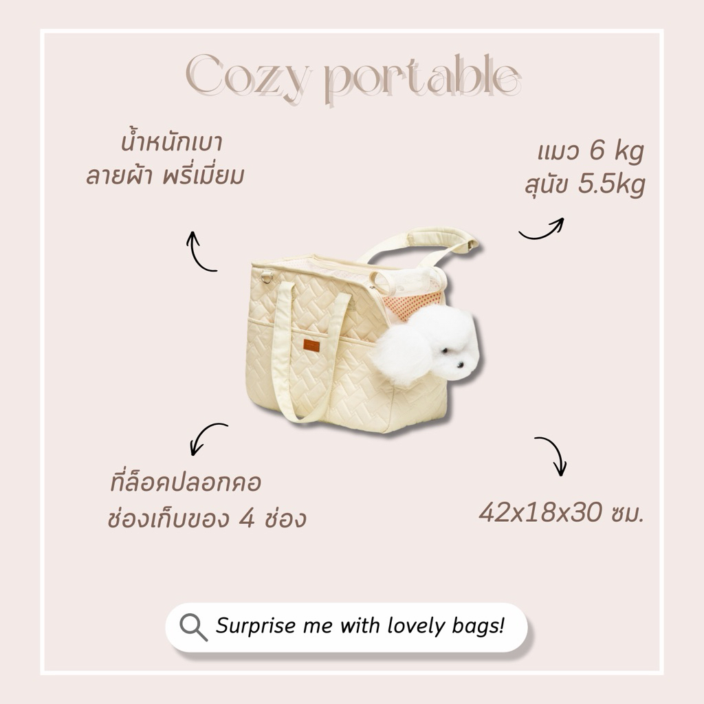 petcare (ส่งจากไทย) #ลายไทย 🇰🇷 กระเป๋าเเมวกระเป๋าหมาระบายอากาศได้ดีสีโปร่งใส สไตล์เกาหลี เเมว สุนัข กระเป๋าเป้สะพายหลัง รูปที่ 6