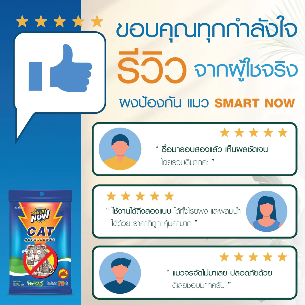 ไล่แมว แมวจร น้ำยาไล่แมว ผงไล่แมวยุคใหม่ thumbnail 7