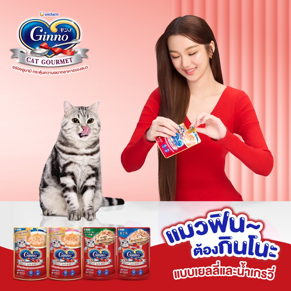 อาหารเปียกแมว Ginno กินโนะ เกรดพรีเมี่ยม ไม่เติมเกลือ ขนาด 60 g มี 14 รสชาติ  (1 โหล 12 ซอง)