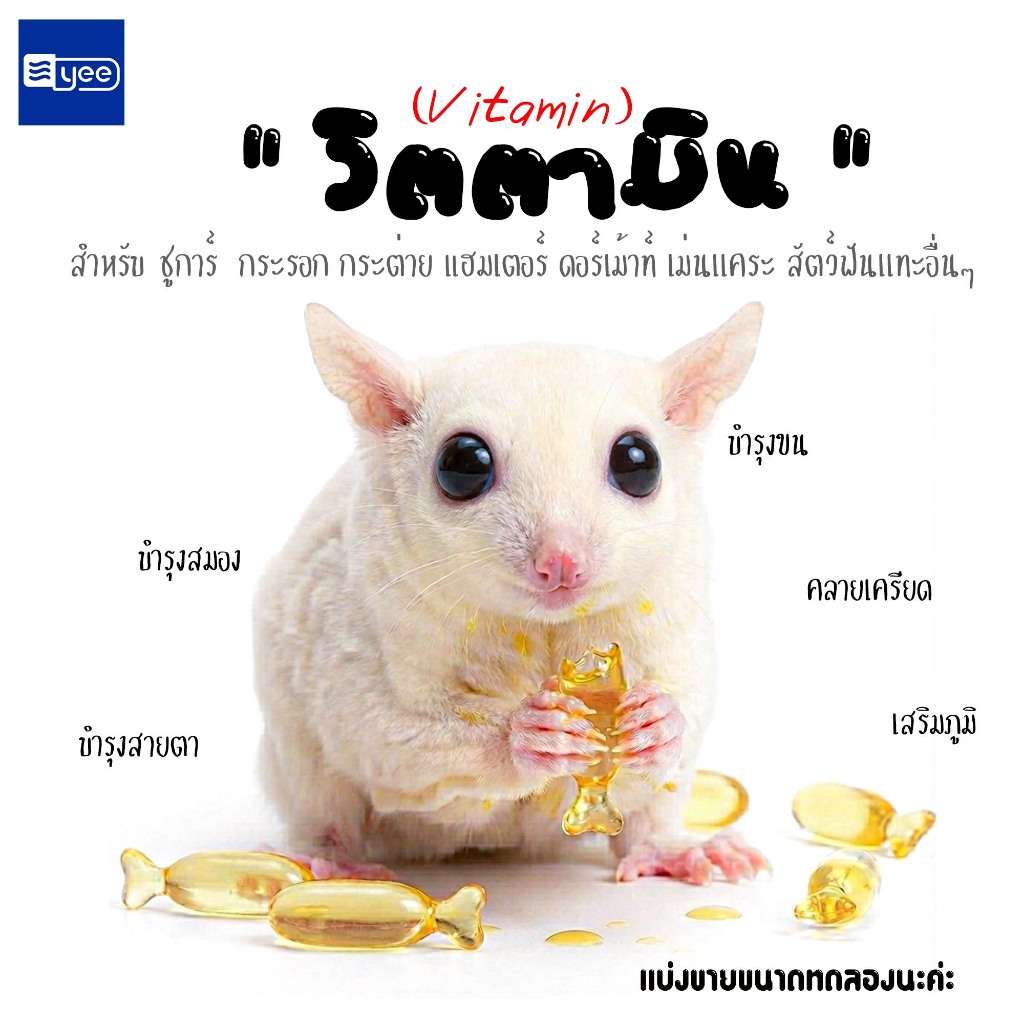 วิตตามิน yee อาหารเสริมสำหรับ เเฮมเตอร์ ชูการ์ สัตว์ฟันเเทะอื่นๆ
