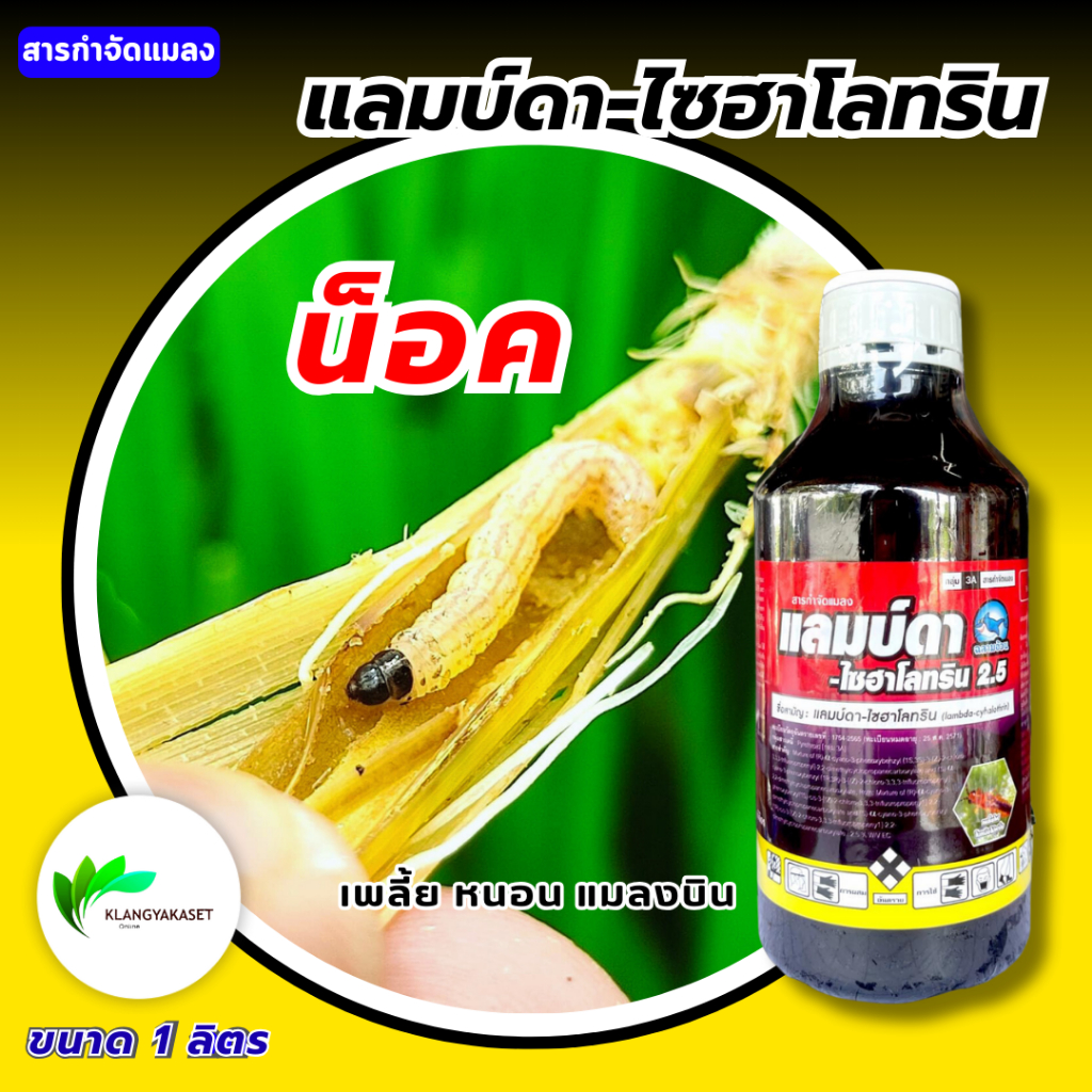 แลมป์ดา ฉลาม 1ลิตร  🛑 แลมป์ดา-ไซฮาโลทริน แลมบ์ดา ไซฮาโลทริน ยาน็อคแมลง สูตรเย็น สารกำจัดแมลง ไลก้า แลมด้า  เจ-ฮาโลทริน