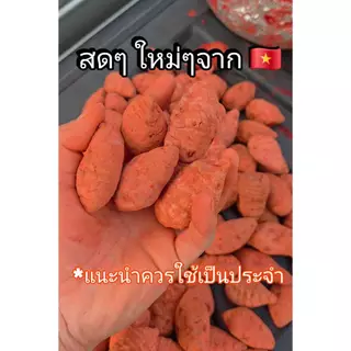 ขมิ้นแดงเวียดนาม ของแท้100% ตราเวียดแท้ (นำเข้าจากเวียดนาม) สำหรับไก่