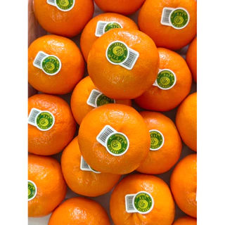 ส้มไต้หวันพรีเมียม 1 กิโลไซด์จัมโบ้ 🍊รับประกันสินค้า ฝากผู้ใหญ่ จัดกระเช้า ไหว้ สดพร้อมส่ง🔥กทม.จัดส่งด่วนได้รับภายใน4ชม.