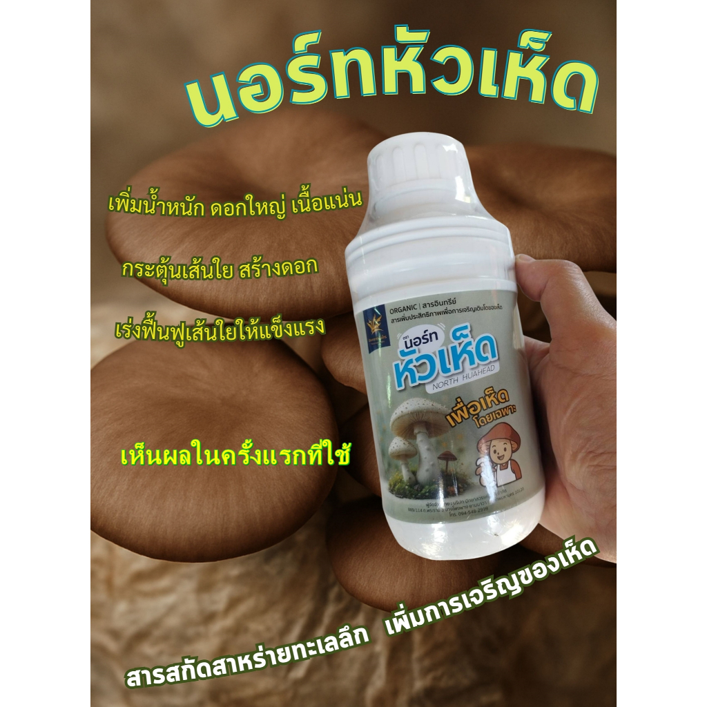 [Organic 100%] ฮอร์โมนเห็ดเข้มข้น สารสกัดสาหร่ายทะเลน้ำลึก เร่งดอกดก ดอกใหญ่ เพิ่มน้ำหนัก ฟื้นฟูก้อนเห็ด ไร้สารเคมี