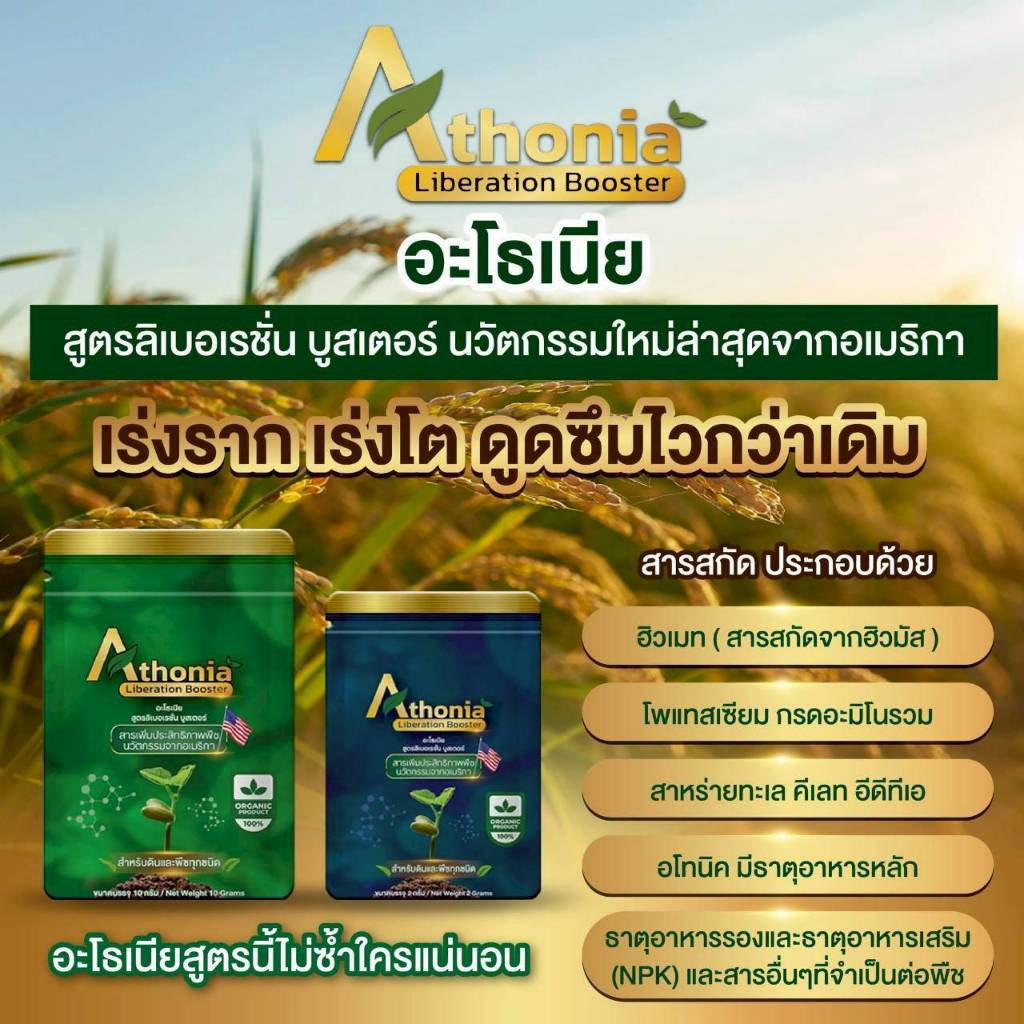 อะโธเนีย อาหารเสริมพืชทางใบ เร่งราก เร่งโต เร่งดอก เพิ่มน้ำตาล เพิ่มผลผลิต ราคา ถูกที่สุด ดีลบีเคเค แกลเลอรีภาพที่ 3