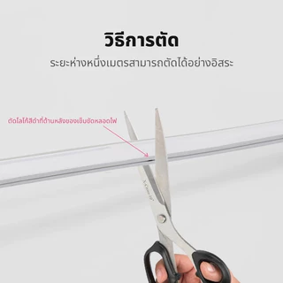 ไฟแถบนีออน Neon Flex LED 220V ดัดงอได้ กันน้ำ ยาว3/5/10/20ม ไฟตกแต่งห้องบ้าน ร้านค้า ต่อปลั๊กใช้เลย