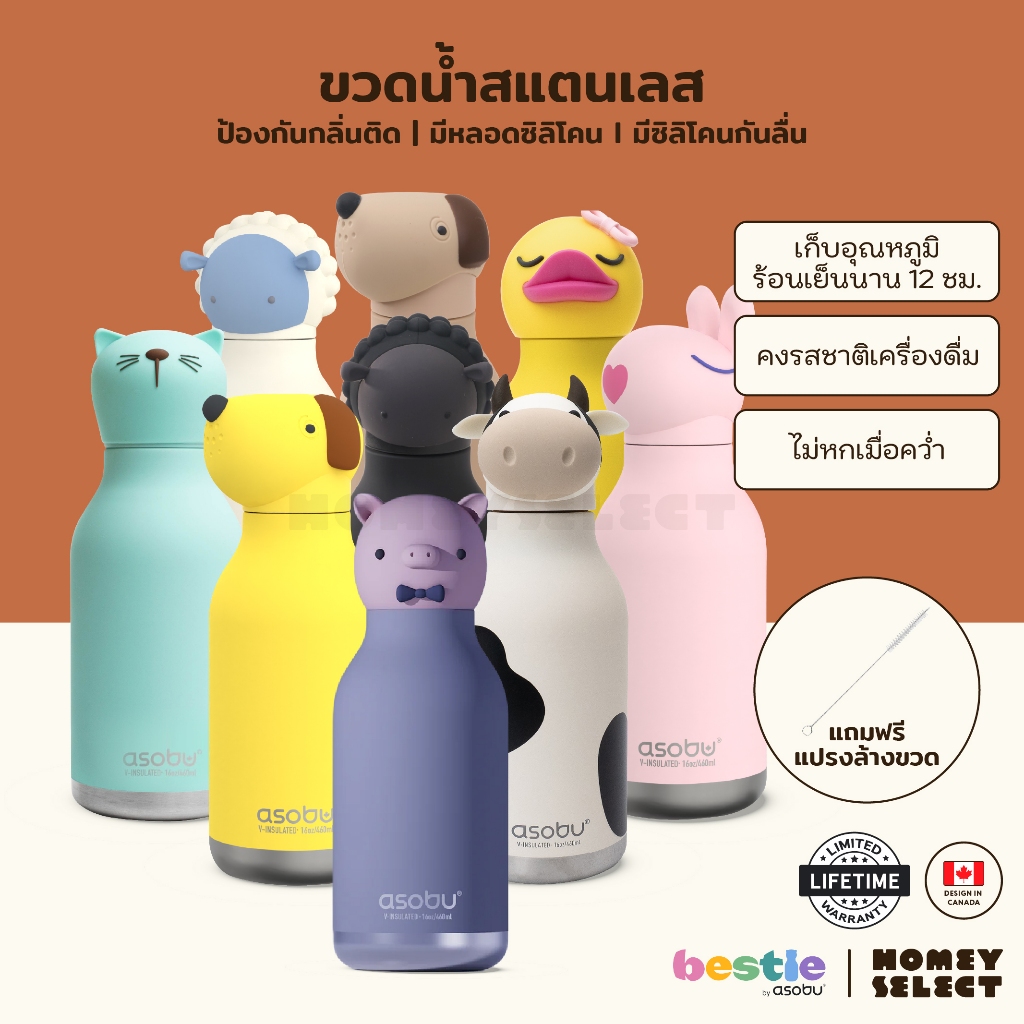 Asobu Besties Everday Friends Collection ขวดน้ำสูญญากาศ ฝาซิลิโคนเปลี่ยนคาแรคเตอร์ได้ เก็บเย็น-ร้อนพร้อมหลอดดูด 470 ML