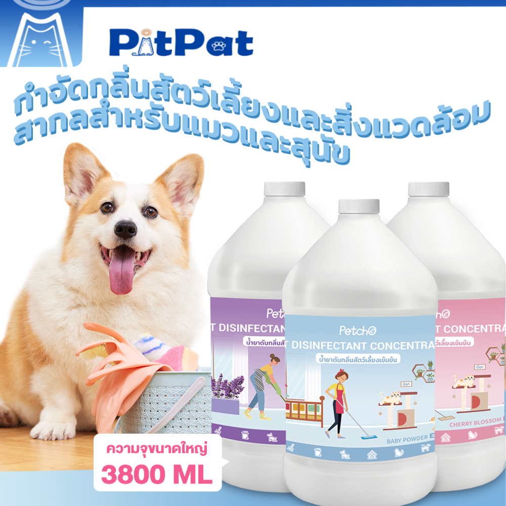 Petcho น้ำยาขจัดกลิ่นสัตว์เลี้ยง สูตรเข้มข้น น้ำยาถูพื้น น้ำยาฆ่าเชื้อโรค กำจัดแบคทีเรียได้ผล อ่อนโยนปลอดภัย 3800/1000ML