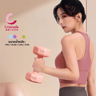 Crassula แท้ ดัมเบลปูนซีเมนต์ Cement Dumbbells แบบคลาสสิก สำหรับสร้างกล้ามเนื้อ เวทเทรนนิ่ง ออกกำลังกายที่บ้าน