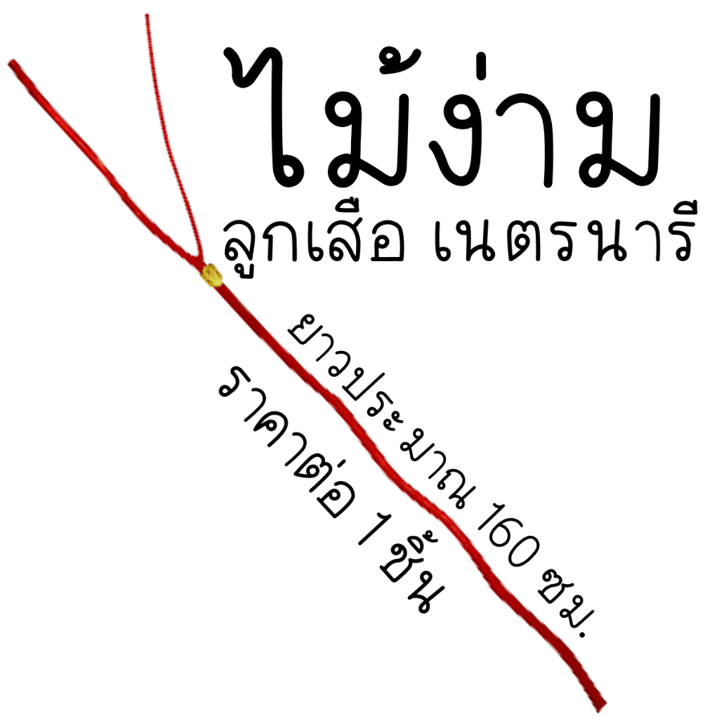 ไม้ง่าม ลูกเสือ เนตรนารี เสาไม้ง่าม ไม้ เข้าแถว วิชาการ การเรียน โรงเรียน เข้าค่าย ทัศนศึกษา ไม้พลอง ค่าย เดินเขา YC