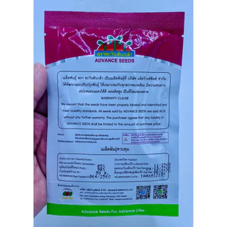 แพลทีนั่ม ใหม่ เมล็ดพันธุ์แตงกวา ตราตะวันต้นกล้า(สิ้นอายุ12/70) บรรจุ 50กรัม/ซอง