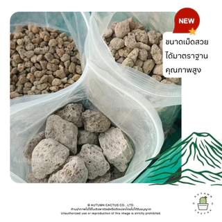 (กระสอบ 14L) หินภูเขาไฟ แท้ หินปลูกต้นไม้ วัสดุปลูก หินกรองตู้ปลา บ่อปลา หินทำถุงหอม เบอร์00-XXL (14ลิตร)